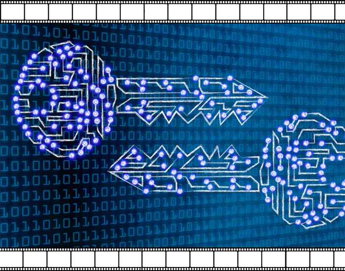 SEDD Networks